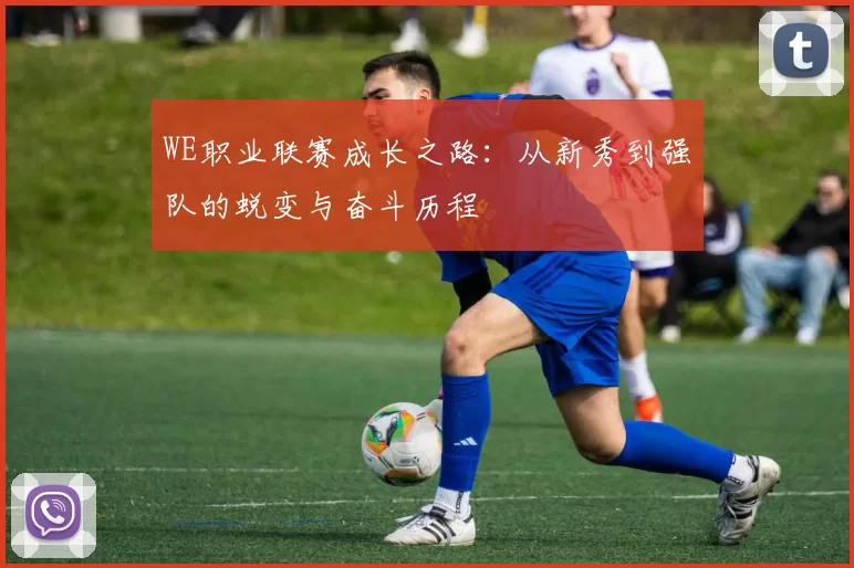 WE职业联赛成长之路：从新秀到强队的蜕变与奋斗历程