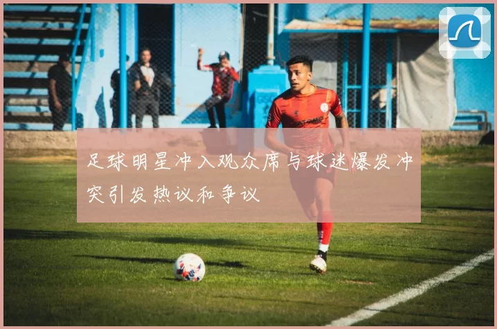 足球明星冲入观众席与球迷爆发冲突引发热议和争议