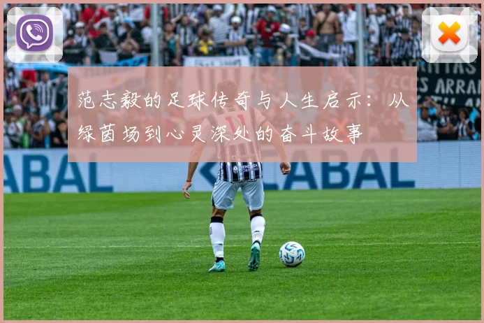 范志毅的足球传奇与人生启示：从绿茵场到心灵深处的奋斗故事