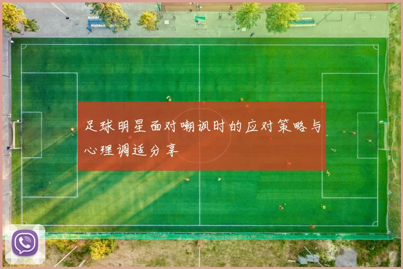 足球明星面对嘲讽时的应对策略与心理调适分享