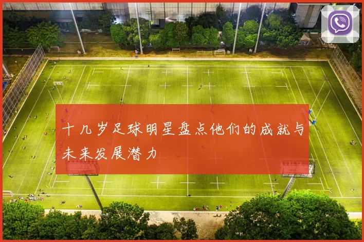 十几岁足球明星盘点他们的成就与未来发展潜力