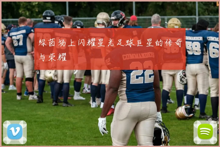 绿茵场上闪耀星光足球巨星的传奇与荣耀