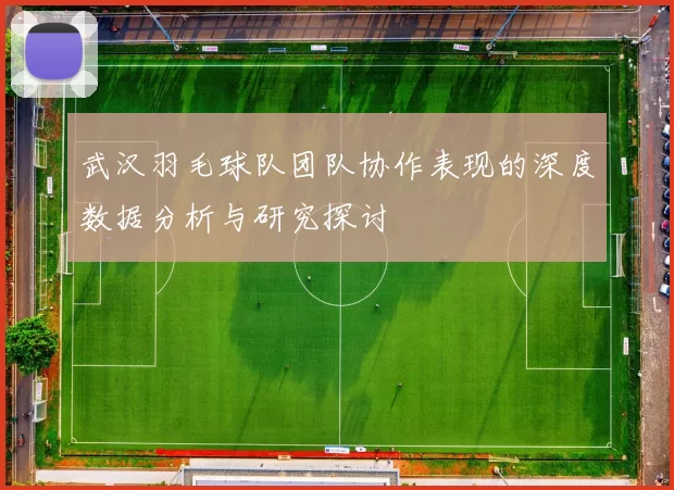 武汉羽毛球队团队协作表现的深度数据分析与研究探讨