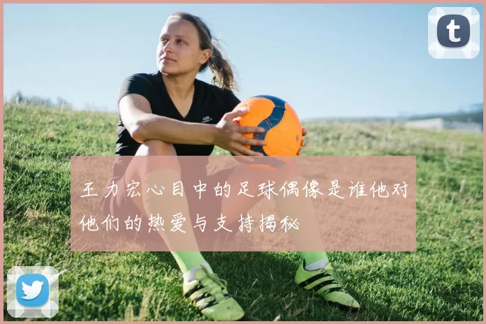 王力宏心目中的足球偶像是谁他对他们的热爱与支持揭秘