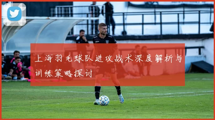 上海羽毛球队进攻战术深度解析与训练策略探讨