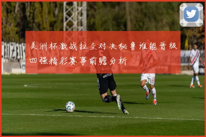 美洲杯激战拉圭对决秘鲁谁能晋级四强精彩赛事前瞻分析