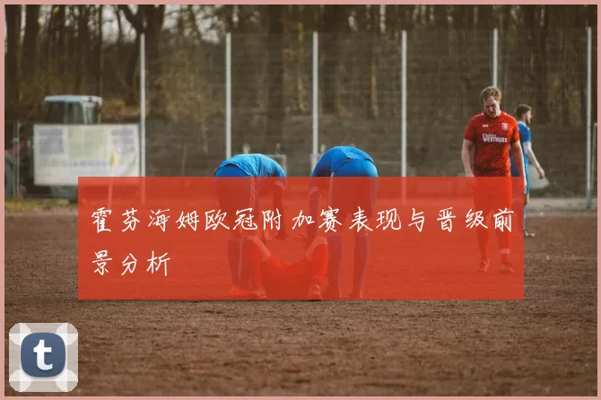 霍芬海姆欧冠附加赛表现与晋级前景分析