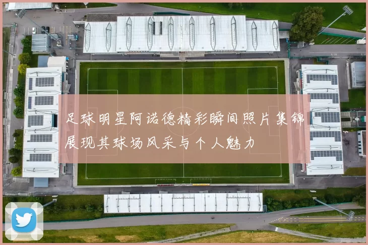 足球明星阿诺德精彩瞬间照片集锦展现其球场风采与个人魅力