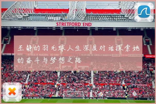 王静的羽毛球人生深度对话探索她的奋斗与梦想之路