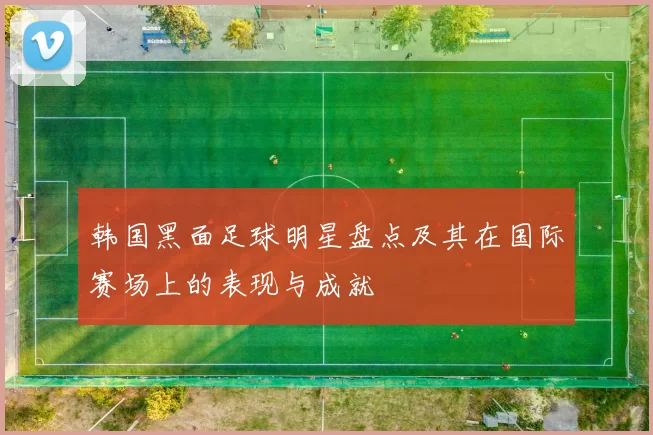 韩国黑面足球明星盘点及其在国际赛场上的表现与成就