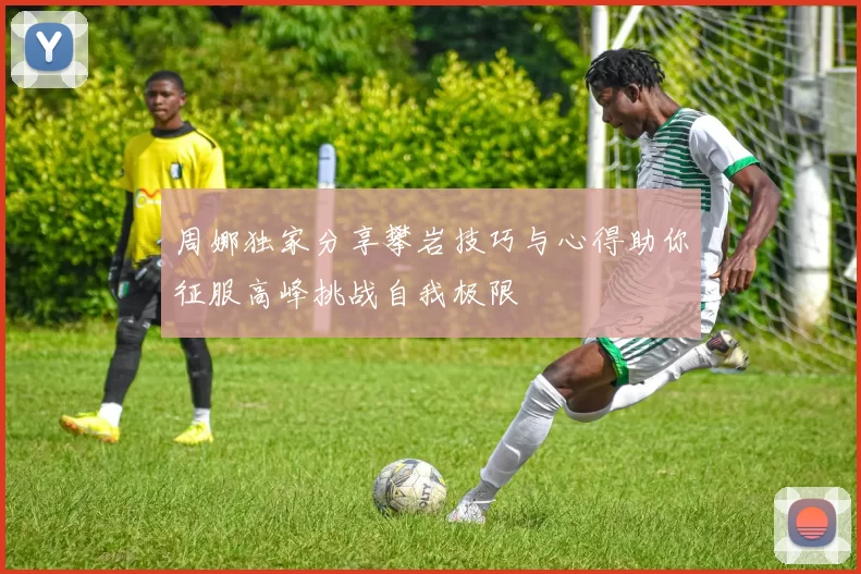 周娜独家分享攀岩技巧与心得助你征服高峰挑战自我极限