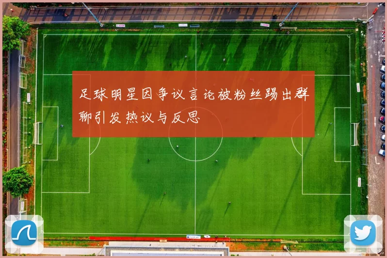 足球明星因争议言论被粉丝踢出群聊引发热议与反思