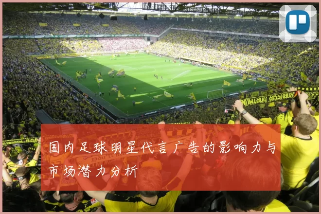 国内足球明星代言广告的影响力与市场潜力分析